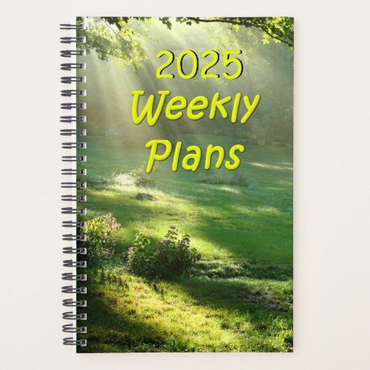 2025 Wekelijkse Plannen Eenvoudig Hemels Lichtontw Planner (Voorkant)