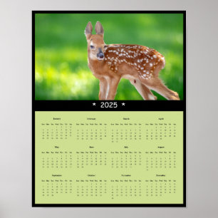 2025 White Tailed Deer Fawn Wandkalender Poster