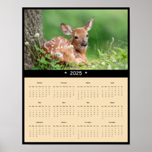 2025 White Tailed Deer Fawn Wandkalender Poster