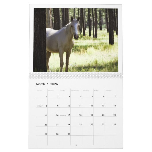 2025 Wild Horses Kalender om Twin Arrows te onders (Mar 2026)