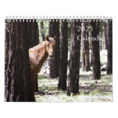 2025 Wild Horses Kalender om Twin Arrows te onders (Hoes)