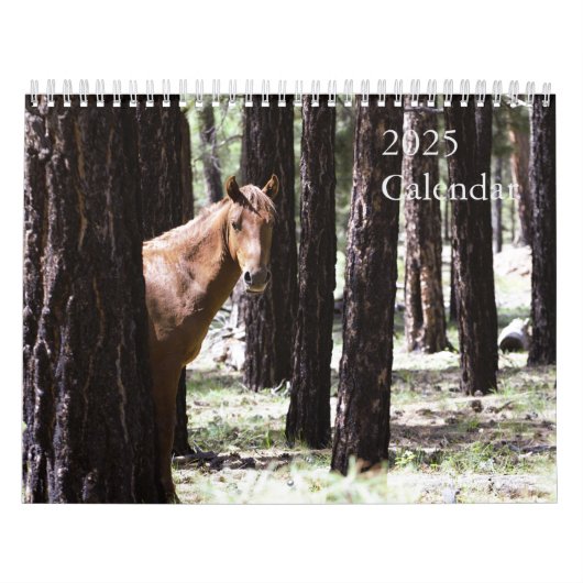2025 Wild Horses Kalender om Twin Arrows te onders (Hoes)