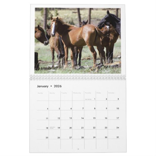 2025 Wild Horses Kalender om Twin Arrows te onders (Jan 2026)