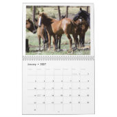 2025 Wild Horses Kalender om Twin Arrows te onders (Jan 2027)