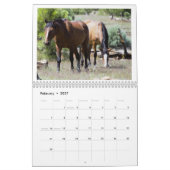 2025 Wild Horses Kalender om Twin Arrows te onders (Feb 2027)