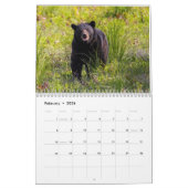 2025 Wildlife Foto Twee Pagina Medium Kalender (Feb 2026)