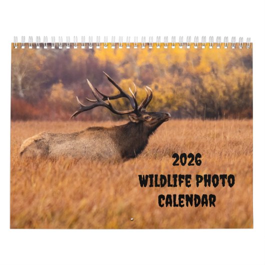 2025 Wildlife Foto Twee Pagina Medium Kalender (Hoes)