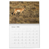 2025 Wildlife Foto Twee Pagina Medium Kalender (Jan 2026)