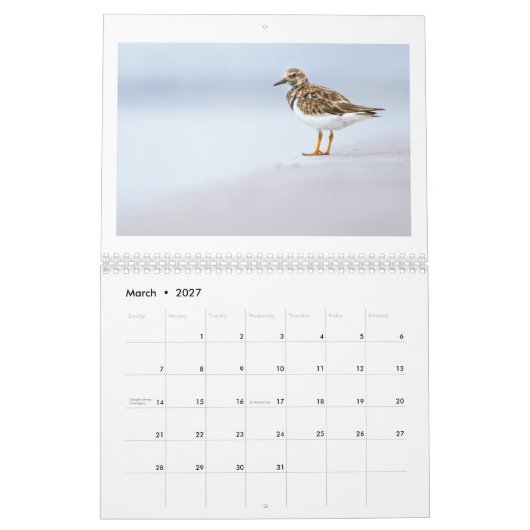 2025 Wildlife Fotokalender Kalender (Mar 2027)