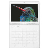 2025 Wildlife Fotokalender Kalender (Jan 2027)