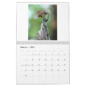 2025 Wildlife Fotokalender Kalender (Feb 2027)