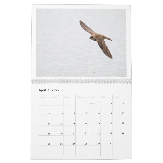 2025 Wildlife Fotokalender Kalender (Apr 2027)