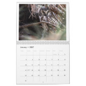 2025 Wildlife Fotokalender Kalender (Jan 2027)