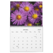 2025 wordt een kleurrijke kalender (Jan 2027)