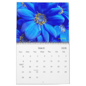 2025 wordt een kleurrijke kalender (Mar 2026)