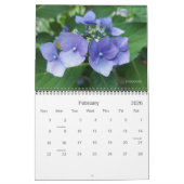 2025 wordt een kleurrijke kalender (Feb 2026)