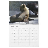 2025 Zee Lion Seals Kalender (Mar 2026)