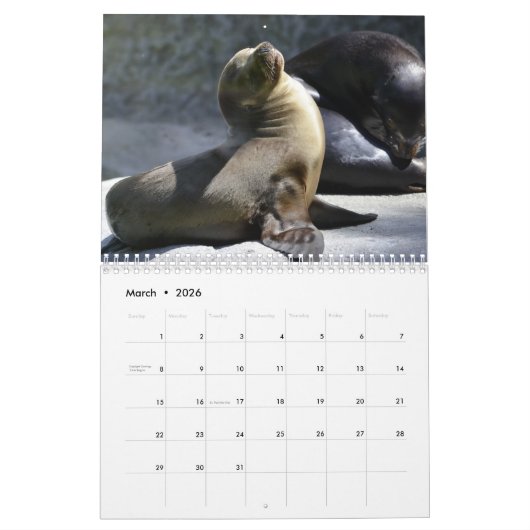 2025 Zee Lion Seals Kalender (Mar 2026)