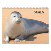 2025 Zee Lion Seals Kalender (Hoes)