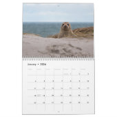 2025 Zee Lion Seals Kalender (Jan 2026)