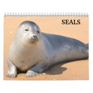 2025 Zee Lion Seals Kalender