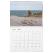 2025 Zee Lion Seals Kalender (Jan 2027)