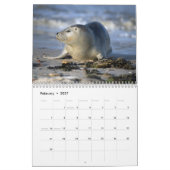 2025 Zee Lion Seals Kalender (Feb 2027)