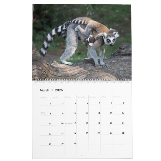 2025 Zoete ringstaartmaki's Kalender (Mar 2026)