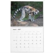 2025 Zoete ringstaartmaki's Kalender (Mar 2027)