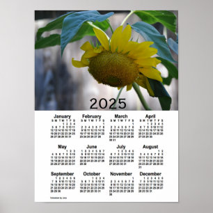 2025 Zonnebloemkalender van Janz Poster