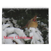 2025 Zonsondergang Kalender (Hoes)