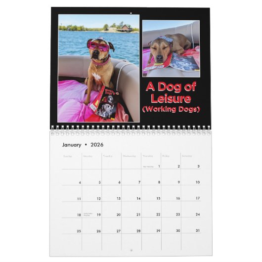 2026 15 Kalender BiblioPup: Luna & haar Fave Books (Jan 2026)