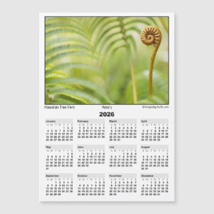 2026 5x7 Magneetkalender Amau Hawaiaanse Varens