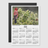 2026 5x7 Magneetkalender Apapane Hawaiaanse Vogel (Voorkant / Achterkant)