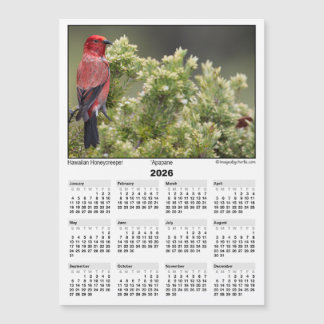 2026 5x7 Magneetkalender Apapane Hawaiaanse Vogel