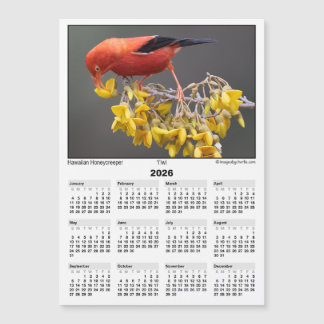 2026 5x7 Magneetkalender Iiwi Hawaiiaanse Vogel