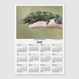 2026 5x7 Magneetkalender Jackson Kameleon