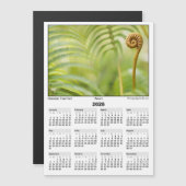 2026 5x7 Magnet Calendar Amau Hawaiian Fern (Voorkant / Achterkant)