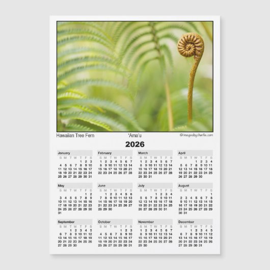 2026 5x7 Magnet Calendar Amau Hawaiian Fern (Voorkant)