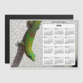 2026 5x7 Magnet Calendar Gold Dust Day Gecko (Voorkant / Achterkant)