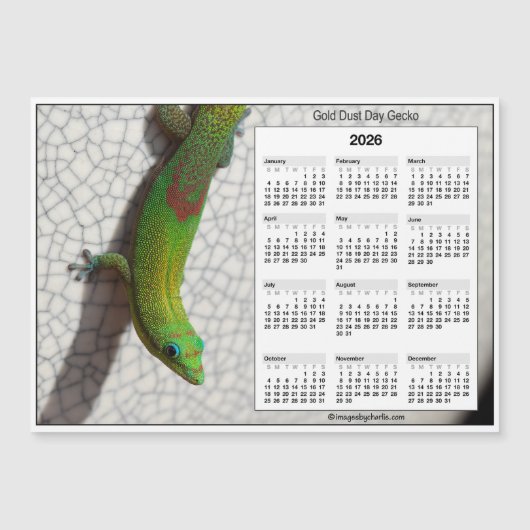 2026 5x7 Magnet Calendar Gold Dust Day Gecko (Voorkant)
