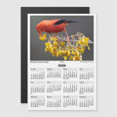 2026 5x7 Magnet Calendar Iiwi Hawaiian Bird (Voorkant / Achterkant)