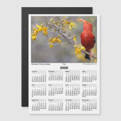 2026 5x7 Magnet Calendar Iiwi HawaiianHoneycreeper (Voorkant / Achterkant)