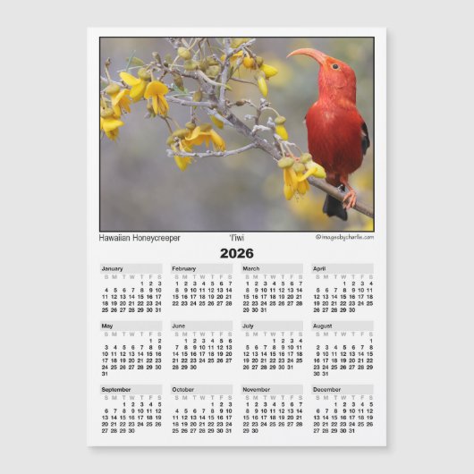 2026 5x7 Magnet Calendar Iiwi HawaiianHoneycreeper (Voorkant)
