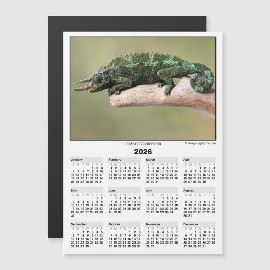 2026 5x7 Magnet Calendar Jackson Chameleon (Voorkant / Achterkant)