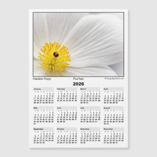 2026 5x7 Magnet Calendar Pua Kala Hawaiian Poppy (Voorkant)