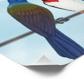2026 achtertuin vogels kalender perfect poster (Hoek)