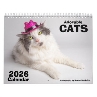 2026 Adorable Cats Calendar Photograpghy Kalender