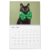 2026 Adorable Katten Kalender Fotografie (Mar 2027)