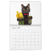 2026 Adorable Katten Kalender Fotografie (Jan 2027)